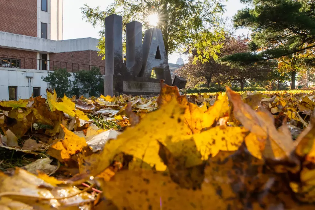 AU Fall Campus